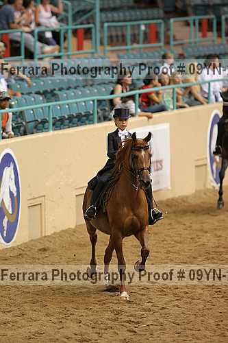 Proof 09yn-22594