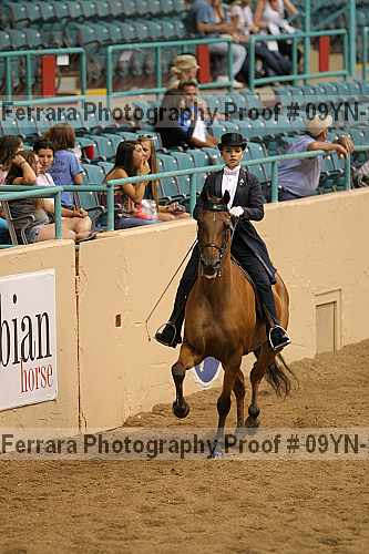 Proof 09yn-22597
