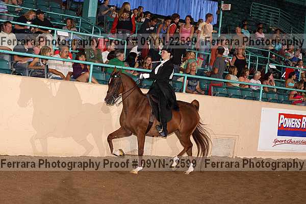 Proof 09yn-22599