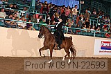 09yn-22599 proof