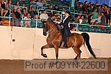 09yn-22600 proof