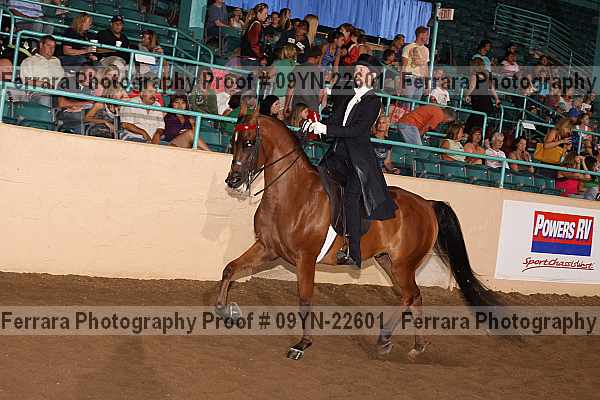 Proof 09yn-22601