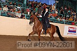 09yn-22601 proof