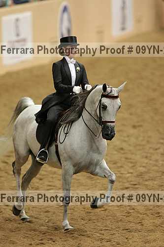 Proof 09yn-22603
