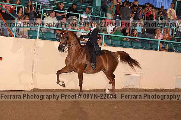 Proof 09yn-22604