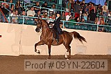 09yn-22604 proof