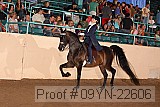 09yn-22606 proof