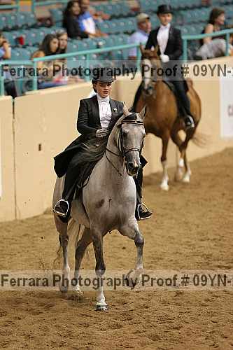 Proof 09yn-22607
