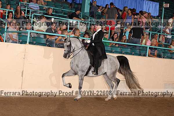Proof 09yn-22608