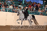 09yn-22608 proof