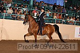09yn-22611 proof