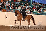 09yn-22612 proof