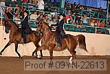 09yn-22613 proof