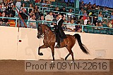09yn-22616 proof