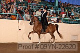 09yn-22620 proof