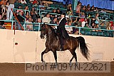 09yn-22621 proof