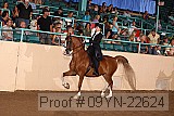 09yn-22624 proof