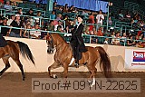 09yn-22625 proof
