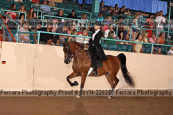Proof 09yn-22626
