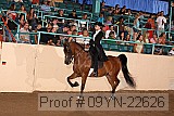 09yn-22626 proof