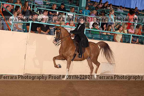 Proof 09yn-22627