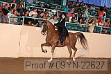 09yn-22627 proof