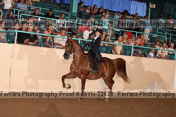 Proof 09yn-22628