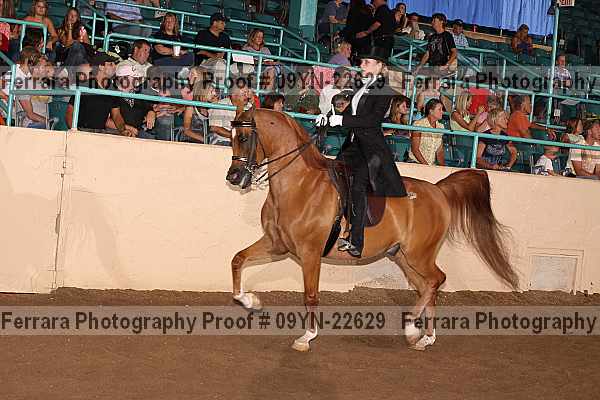 Proof 09yn-22629