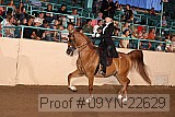 09yn-22629 proof