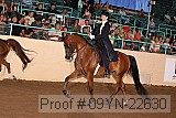 09yn-22630 proof