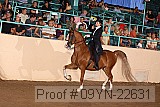 09yn-22631 proof
