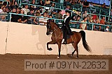 09yn-22632 proof