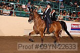 09yn-22633 proof