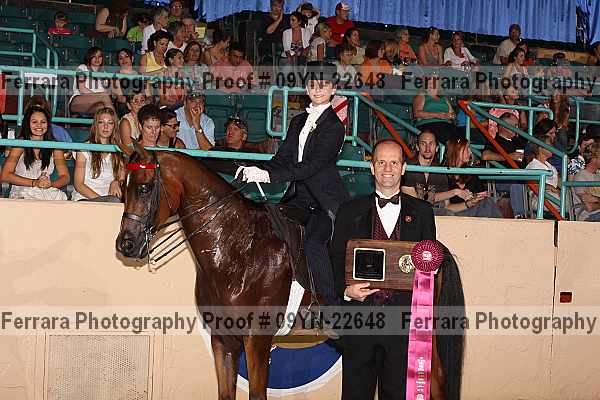 Proof 09yn-22648