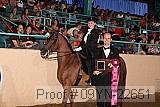 09yn-22651 proof