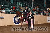 09yn-22656 proof
