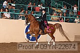 09yn-22674 proof