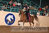 09yn-22678 proof