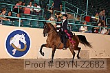 09yn-22682 proof