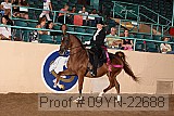 09yn-22688 proof