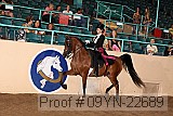 09yn-22689 proof