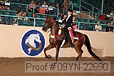 09yn-22690 proof