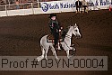 09yn-00004 proof