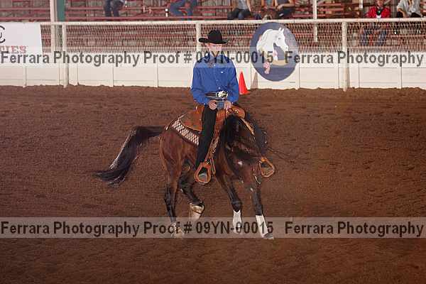 Proof 09yn-00015
