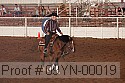 09yn-00019 proof