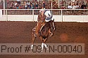 09yn-00040 proof