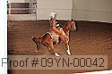 09yn-00042 proof