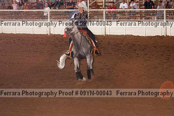 Proof 09yn-00043