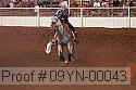 09yn-00043 proof