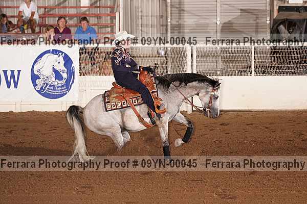 Proof 09yn-00045